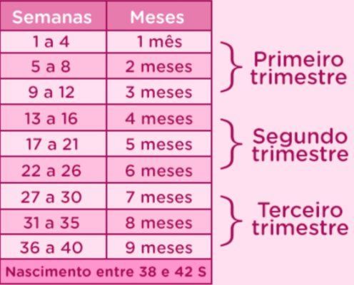 Gravidez semana a semana no 1º trimestre, finais de semana ou finais de  semanas 